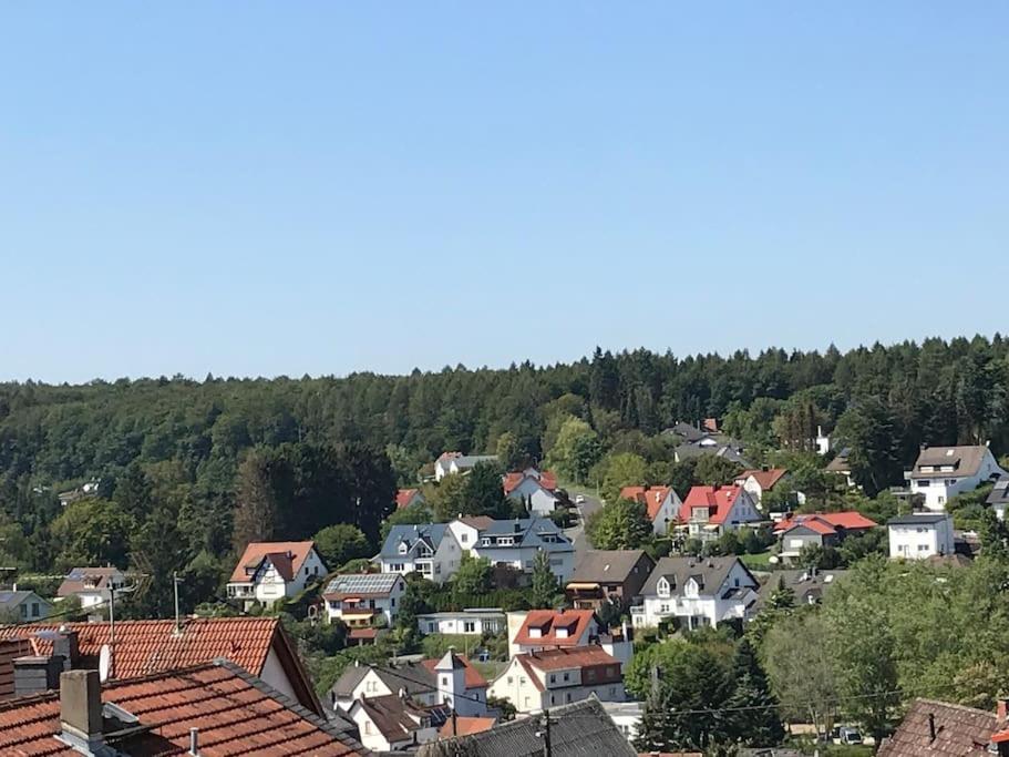 Apartment Mit Wintergarten Und Terrasse In Ruhiger Lage Im Schoenen Taunus Glashutten  Exterior photo