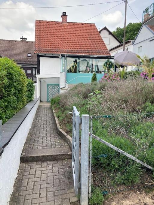 Apartment Mit Wintergarten Und Terrasse In Ruhiger Lage Im Schoenen Taunus Glashutten  Exterior photo